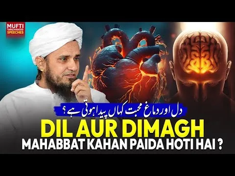 Dil Aur Dimagh Mohabbat Kahan Paida Hoti Hai ?